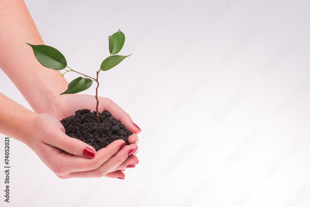 Concept of new life Concept of new life