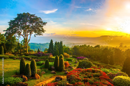 Beautiful garden of colorful flowers on hill with sunrise in the #74055483