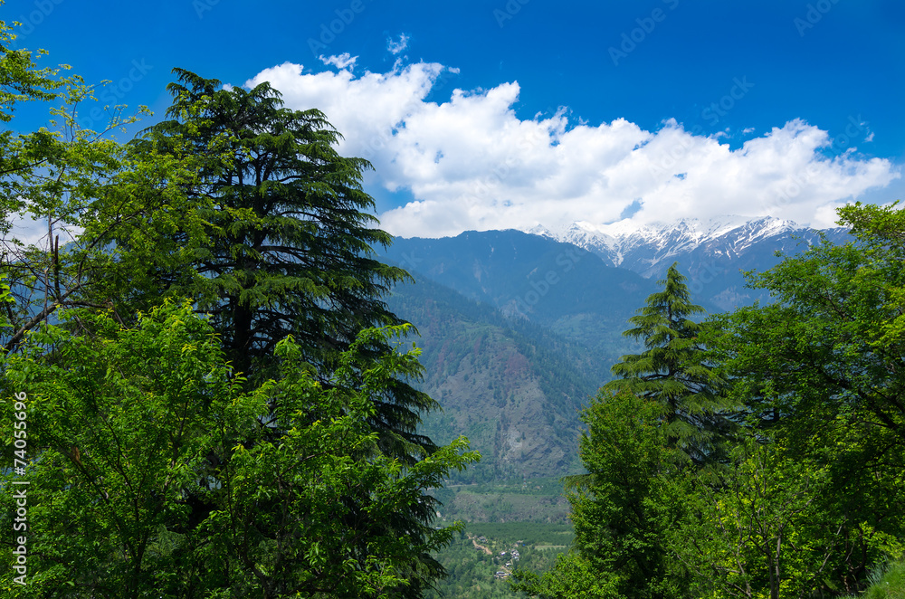 view of Himalaya mountains from Roerich house view of Himalaya mountains from Roerich house
