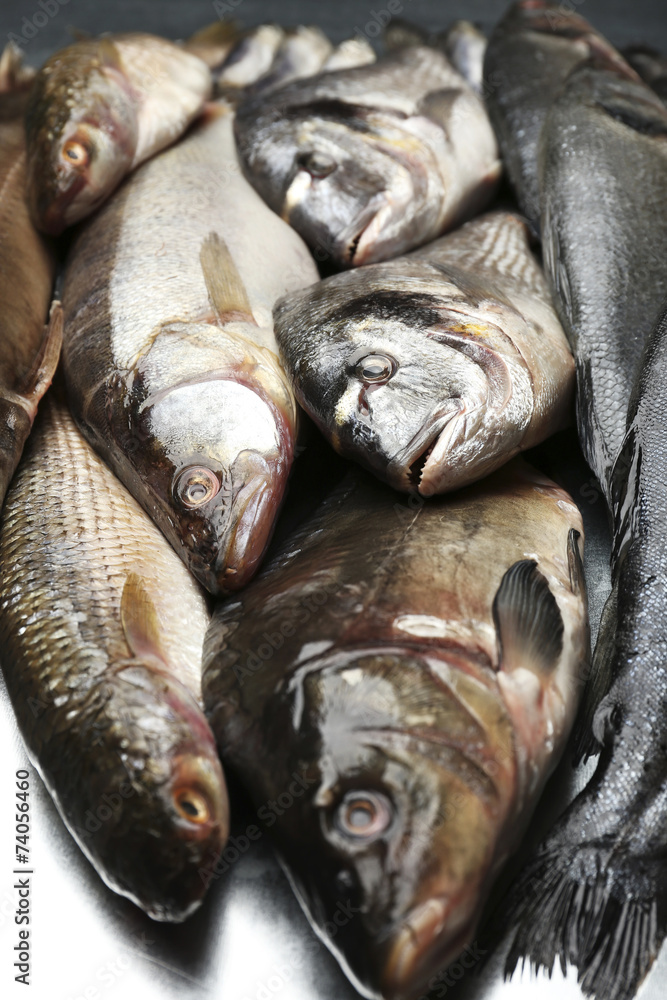 Obraz premium Fresh catch of fish close-up