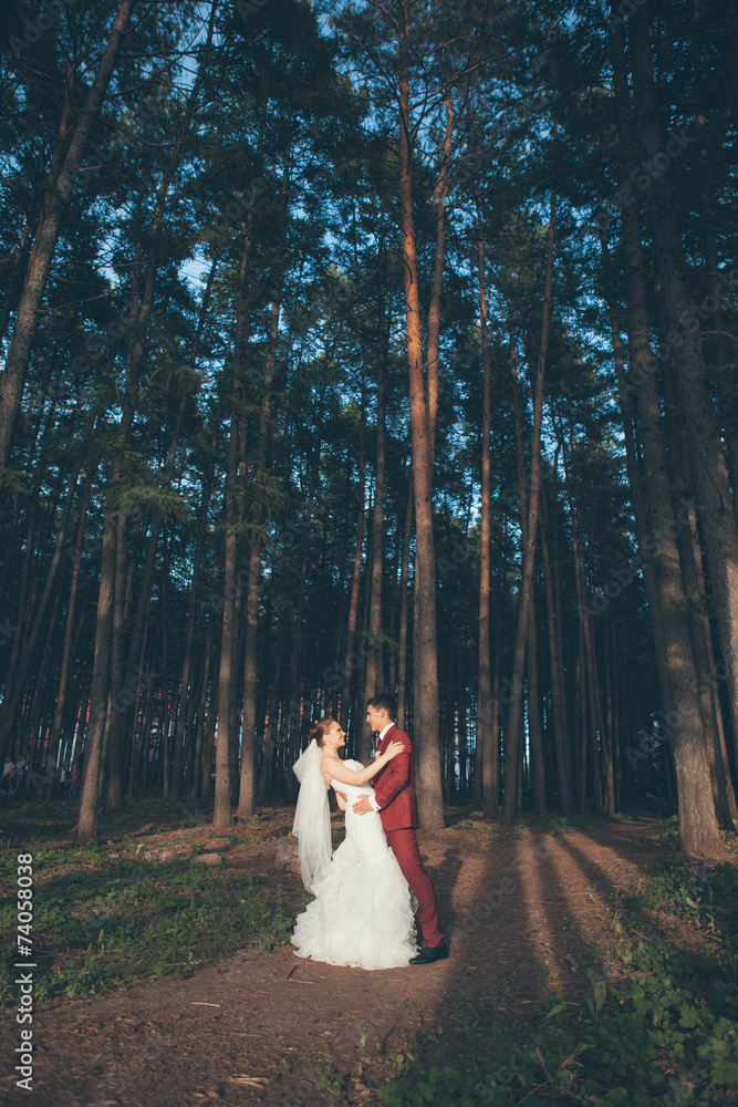 Wedding couple in romantic setting Wedding couple in romantic setting