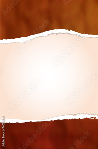 Ripped paper background