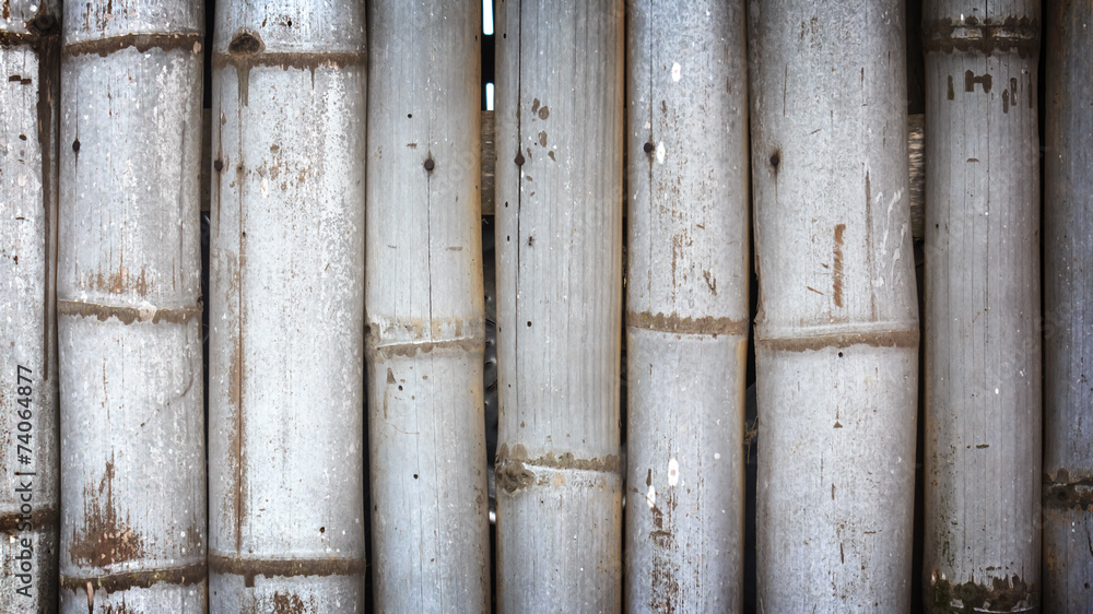 Bamboo background Bamboo background