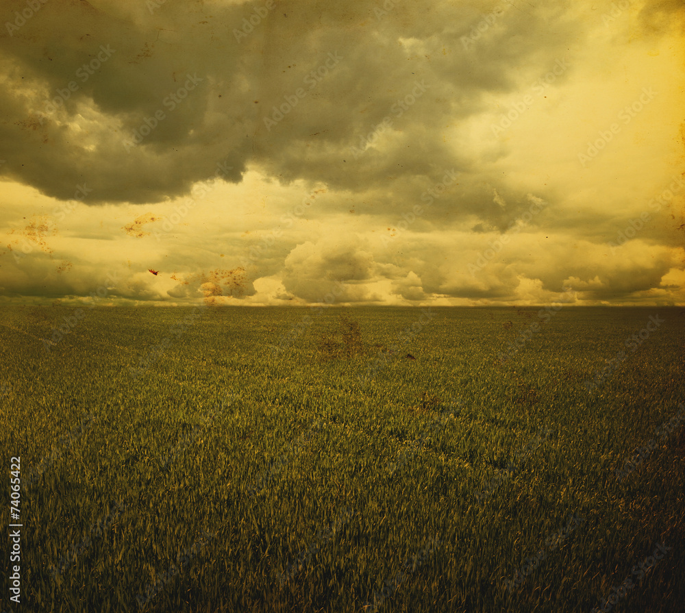 Obraz premium Storm dark clouds over field with grass