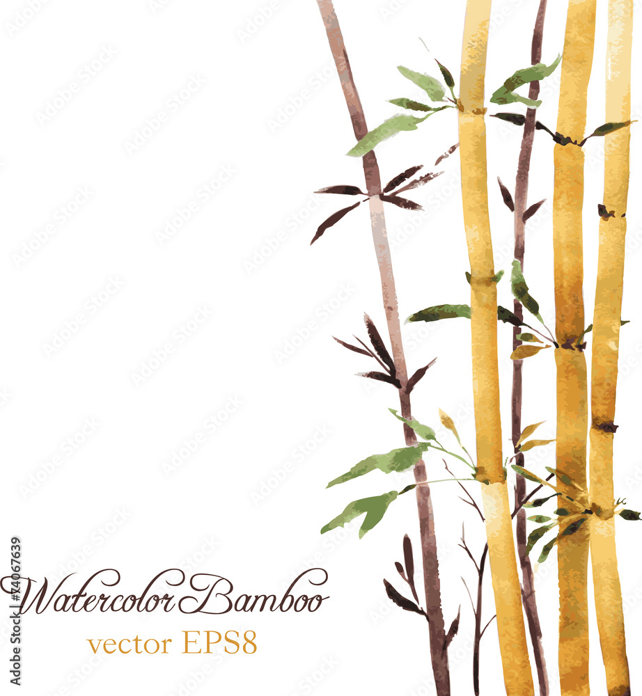 Naklejka premium bamboo grove