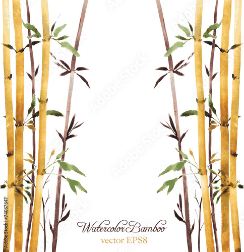 Fototapeta Naklejka Na Ścianę i Meble -  bamboo grove