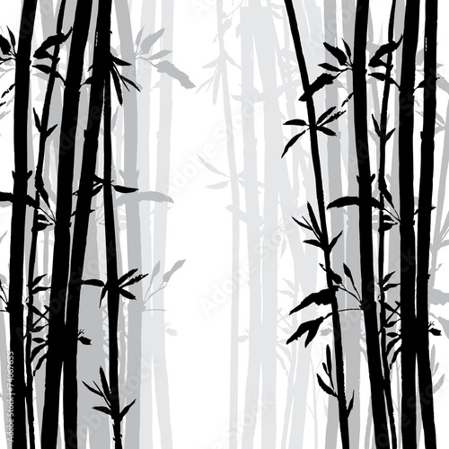 silhouette of bamboo grove
