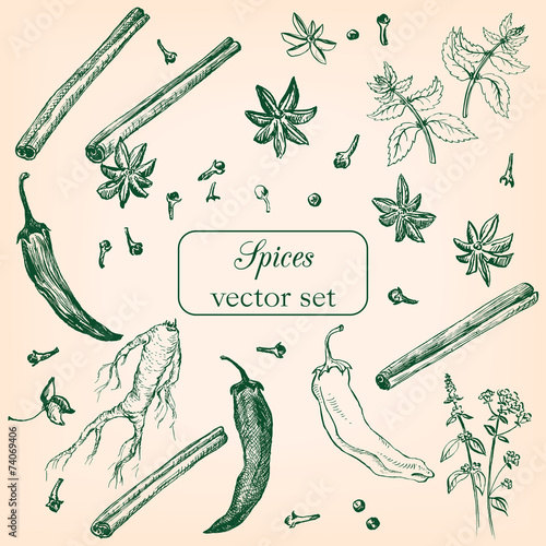 set of hand drawn spices