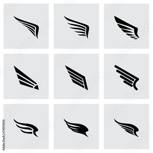 Vector wing icon set