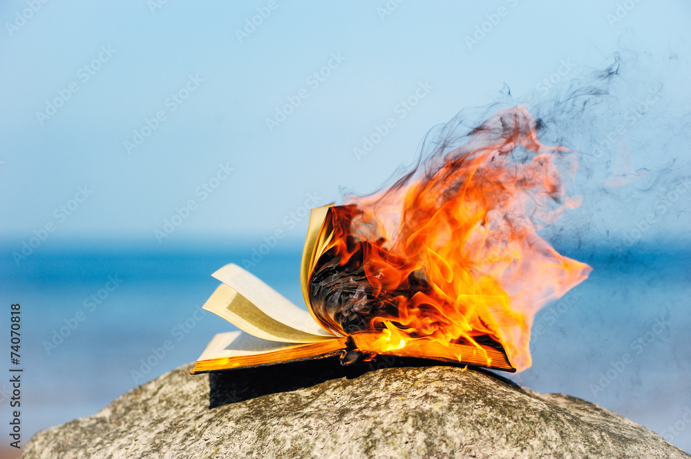 Burning Book