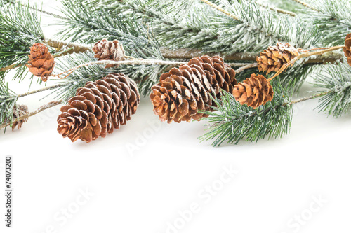 Christmas decoration