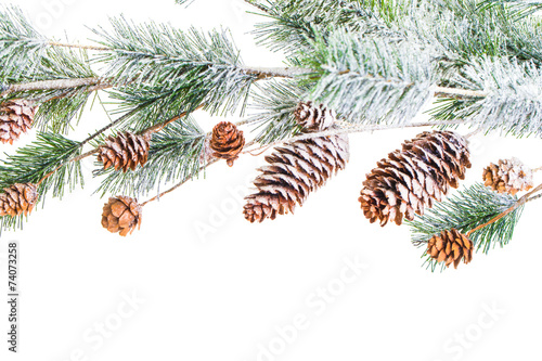 Christmas decoration on white background