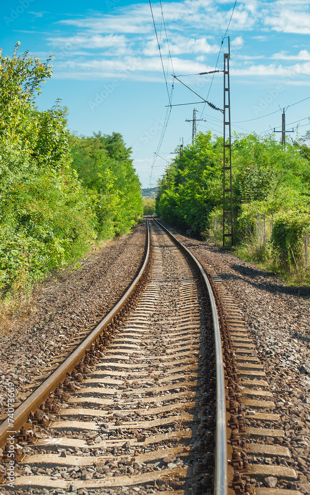 Train tracks through forest