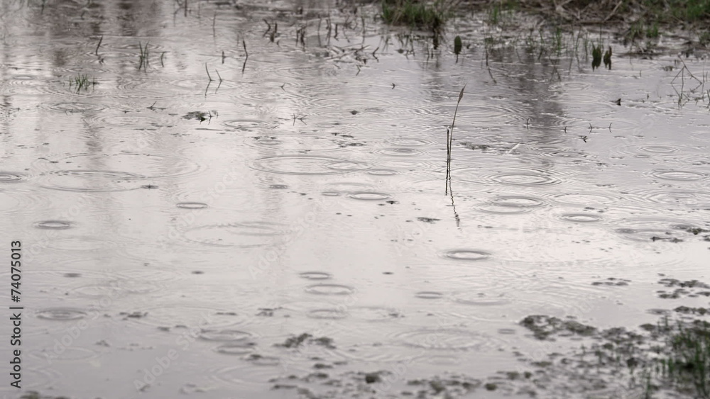 Rain splashing in puddle with reflection of trees Rain splashing in puddle with reflection of trees