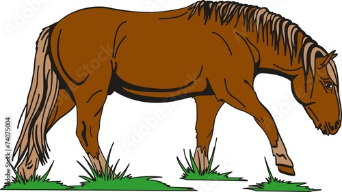 Horse06EG2