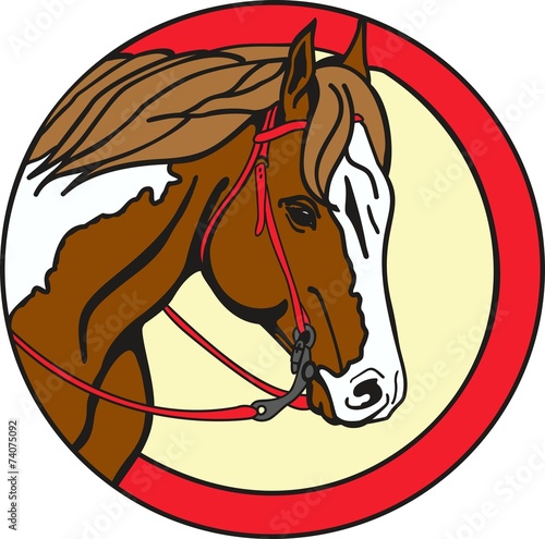 Horse09EG2
