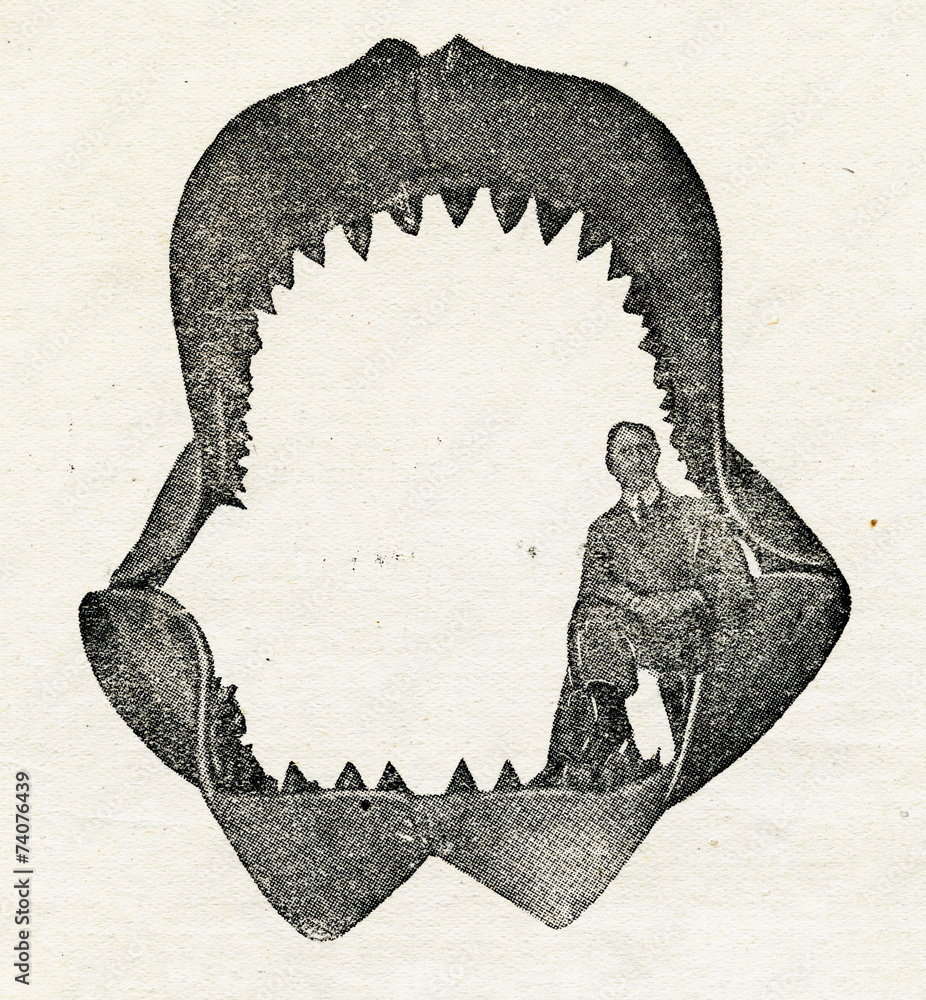 Naklejka premium Jaws of megalodon (reconstruction by Bashford Dean, 1909)