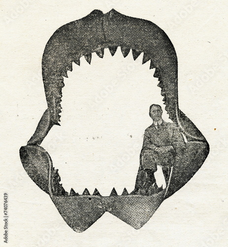 Jaws of megalodon (reconstruction by Bashford Dean, 1909) photo
