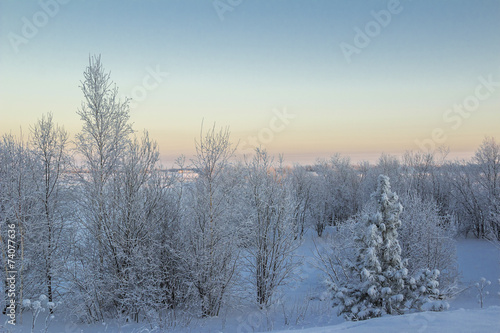 winter Landscape.