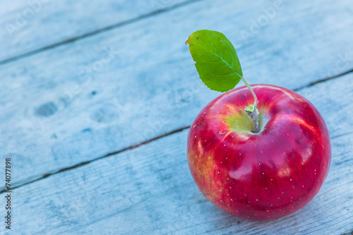 Cortland Apple photo