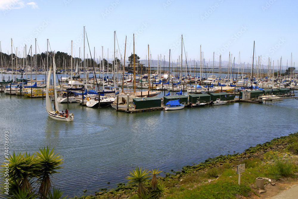 Marina de Berkeley, Californie