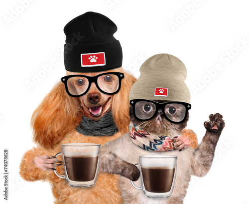 Fototapeta Naklejka Na Ścianę i Meble -  Dog with a cat, holding in the paws of a cup of cocoa.