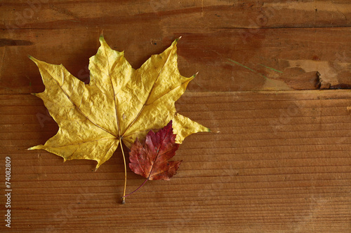 background dry yellow leaves on a wooden background