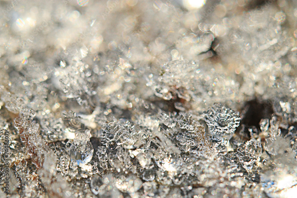 texture of the frost on the dead leaves first frost texture of the frost on the dead leaves first frost