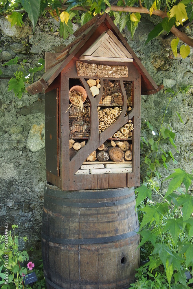 Fototapeta premium Hôtel à insectes