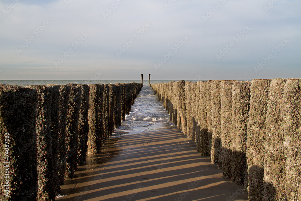 Rows of poles covered with barnacles on a beach