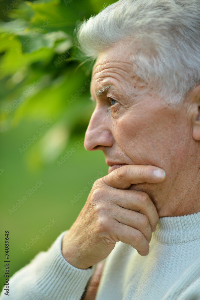 portrait of a senior man portrait of a senior man