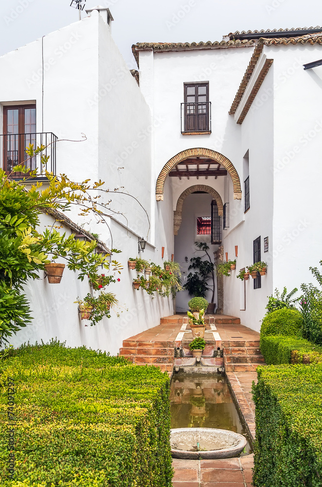 Fototapeta premium Mondragon Palace, Ronda