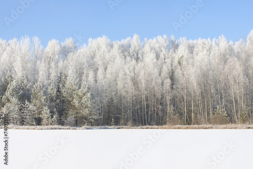 Wallpaper Mural Frosty Sunny Winter Landscape. Torontodigital.ca