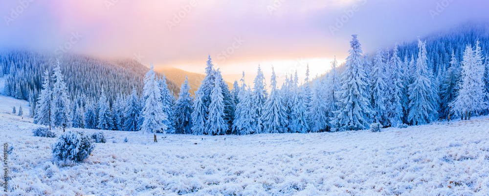 Fototapeta premium winter landscape trees in frost