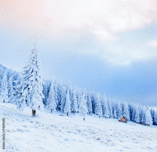 cabin in the mountains in winter