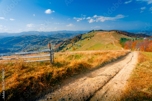 Colorful autumn landscape