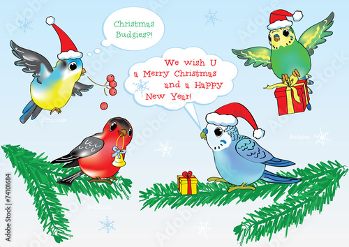 Merry Christmas from vector cartoon style Birds!