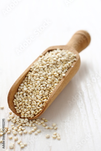 Scoop with uncooked quinoa seed grain on white wooden background