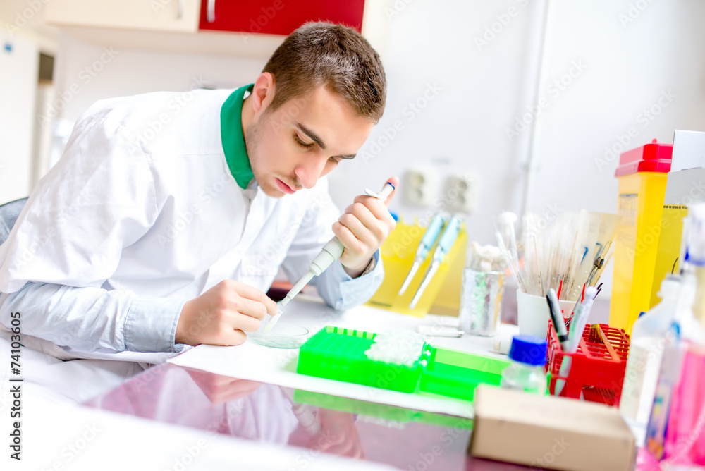 young handsome scientist and chemist examining samples