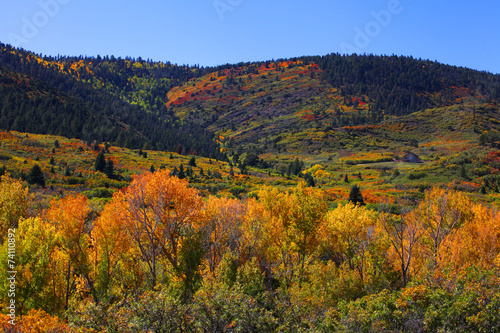 Autumn in Southern Colorado