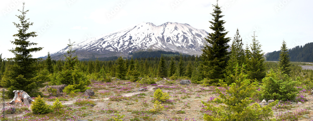 Fototapeta premium Mount Saint Helens