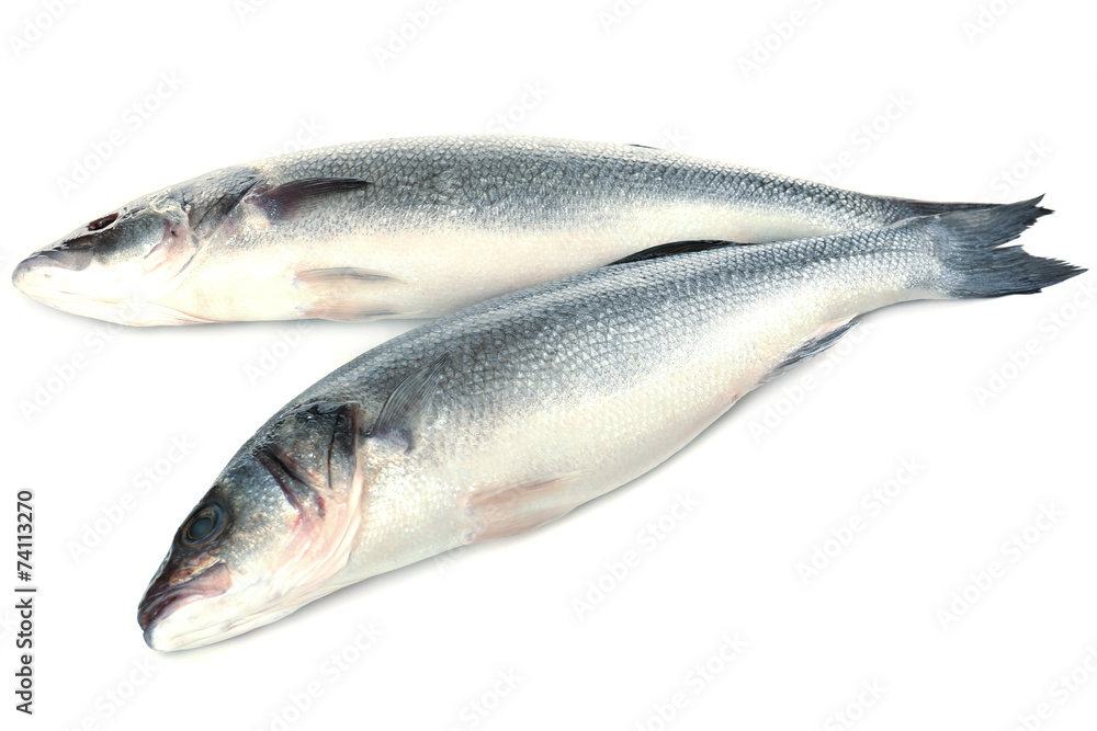 Fresh seabass fish isolated on white Fresh seabass fish isolated on white