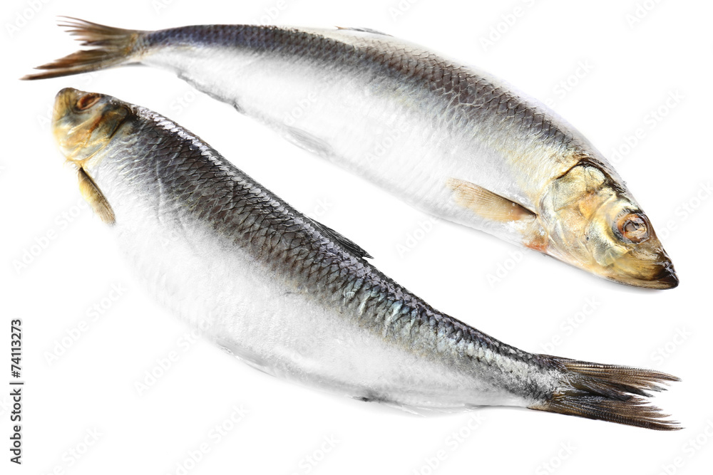 Fototapeta premium Fresh fish isolated on white