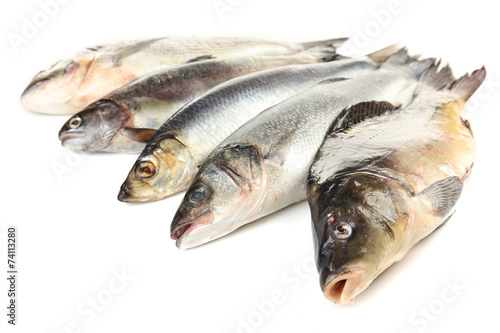 Fresh fish isolated on white