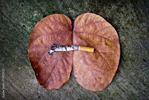 great danger from cigarette