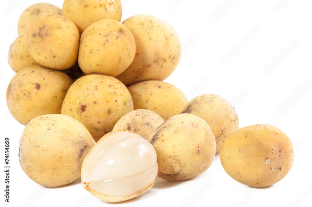 Lansium parasiticum (syn. Lansium domesticum) Lansium parasiticum (syn. Lansium domesticum)