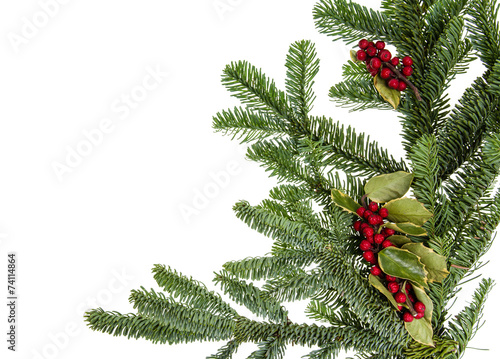 Φωτογραφία Noble fir bough with holly