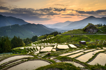 Handdoek met foto Rijstvelden Rijstvelden Kumano Japan landschap  © SeanPavonePhoto
