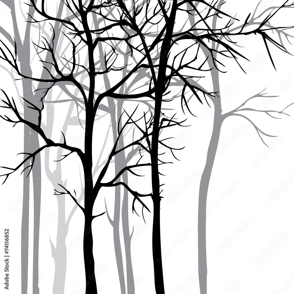 Obraz premium Vector background with trees