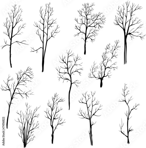 set of different winter trees